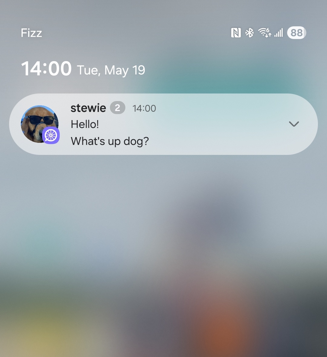 Encrypted Push Notification